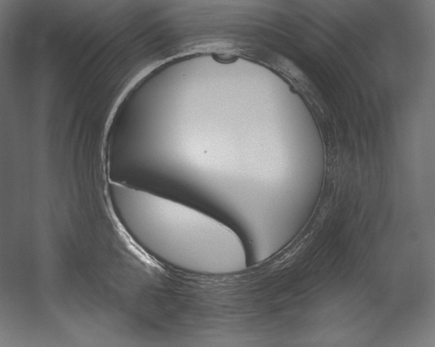 X0000054380808200507290855