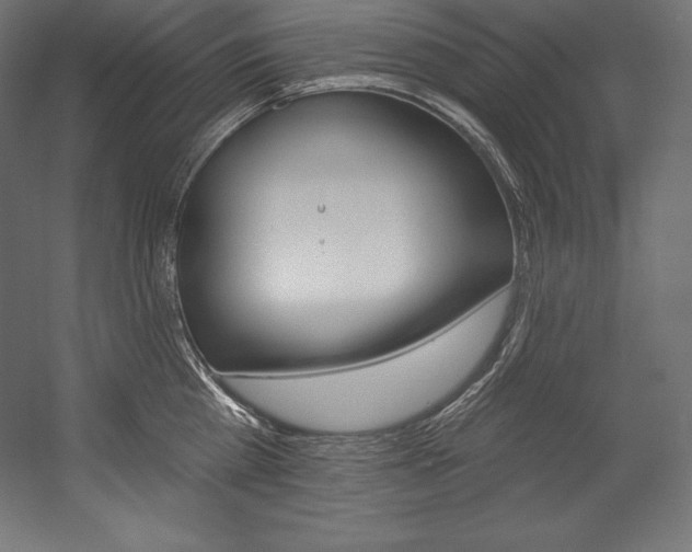 X0000054380809200507290855