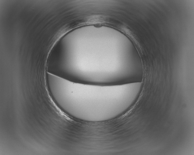 X0000054380810200507290855