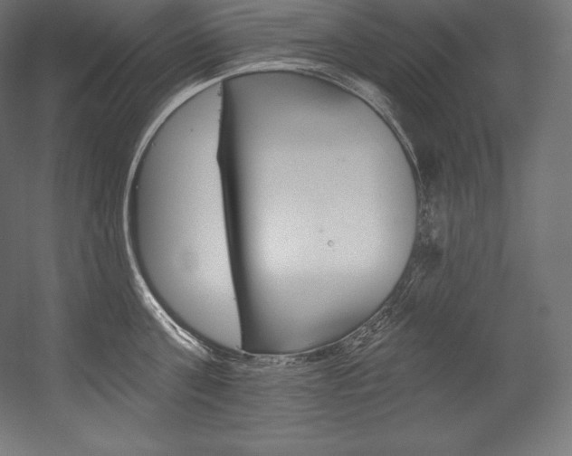 X0000054380811200507290855