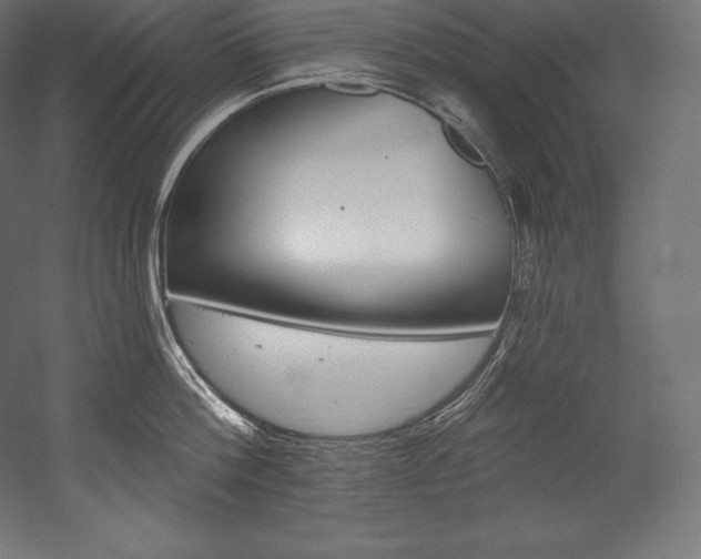 X0000054380812200507290855