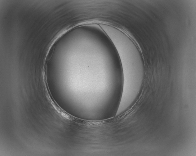 X0000054380813200507290855