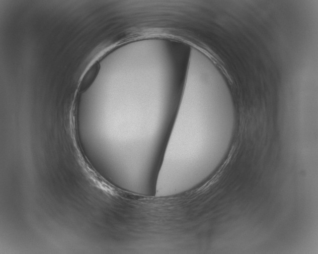 X0000054380814200507290855
