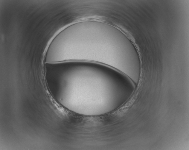 X0000054380816200507290855