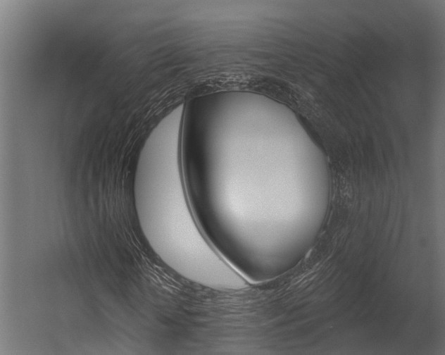 X0000054380818200507290854