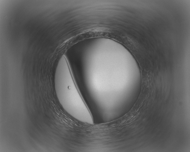 X0000054380821200507290854