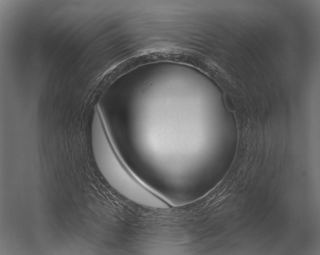X0000054380822200507290854