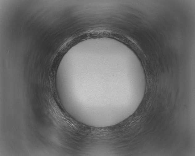 X0000054380823200507290854