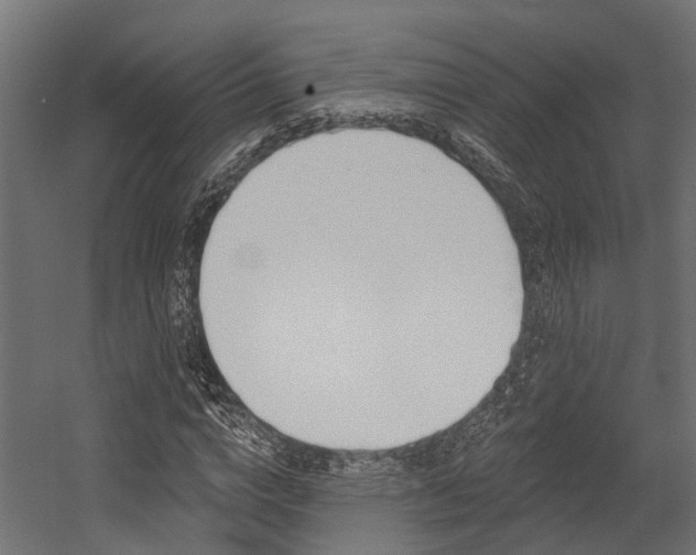 X0000054380824200507290854