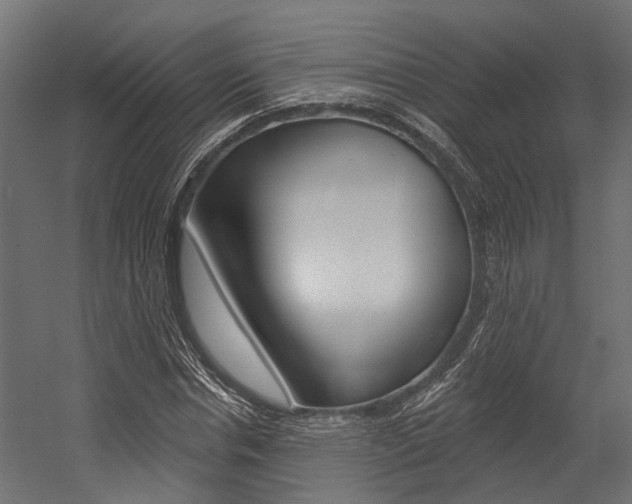 X0000054380826200507290854