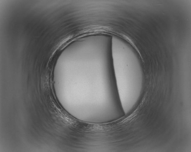 X0000054380827200507290854