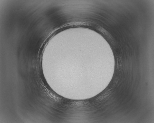 X0000054380828200507290854