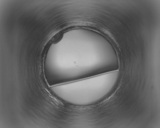 X0000054380829200507290854