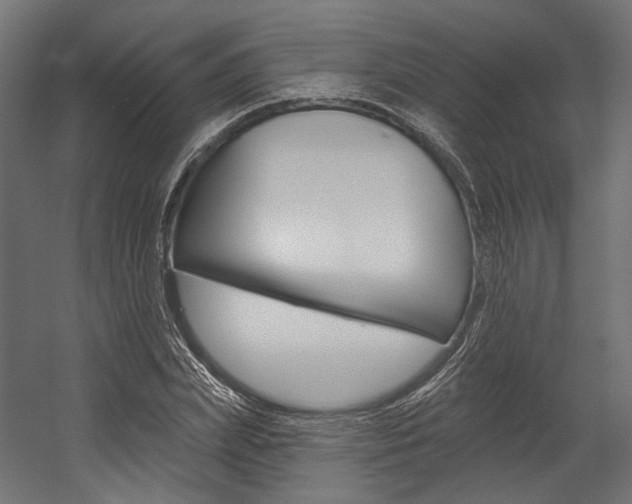 X0000054380831200507290854