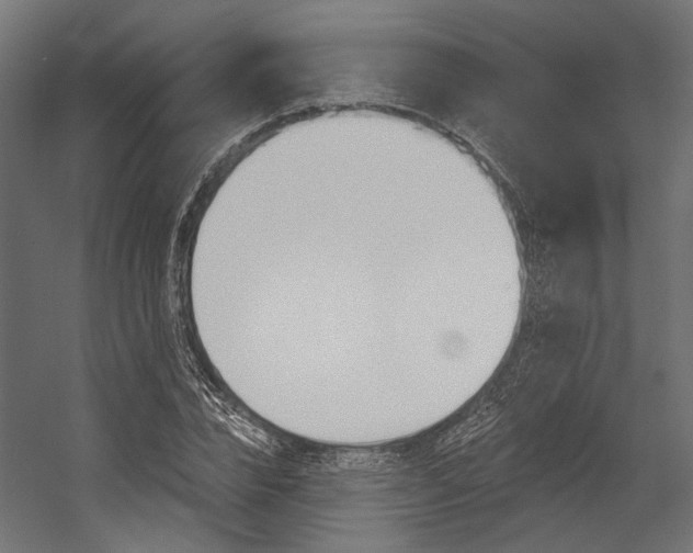 X0000054380832200507290855