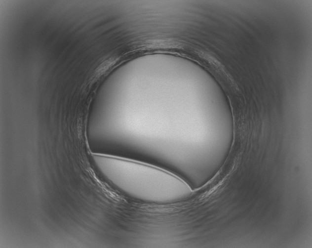 X0000054380833200507290855
