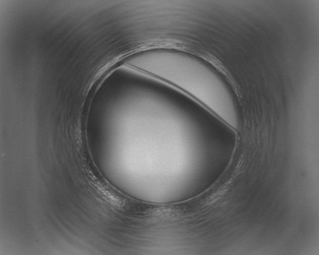 X0000054380834200507290855