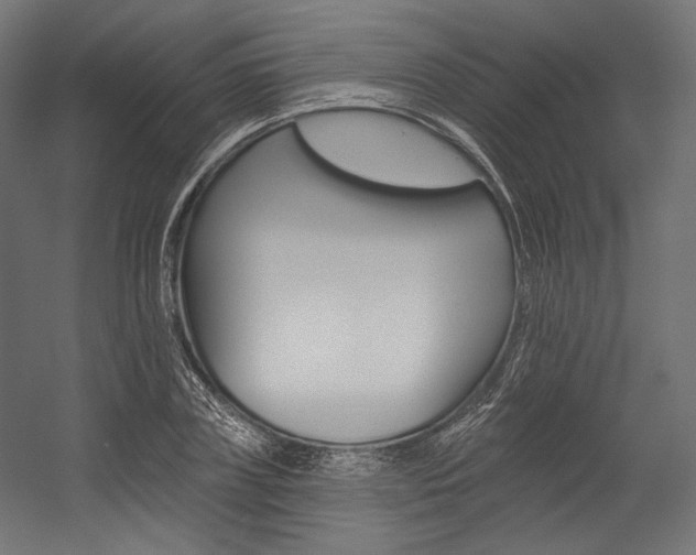 X0000054380835200507290855