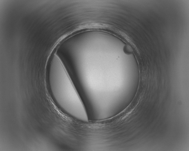 X0000054380837200507290855