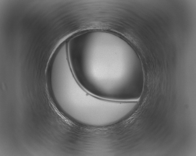 X0000054380838200507290855