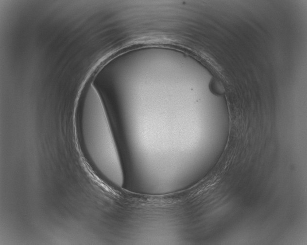 X0000054380840200507290855
