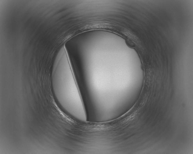 X0000054380841200507290855