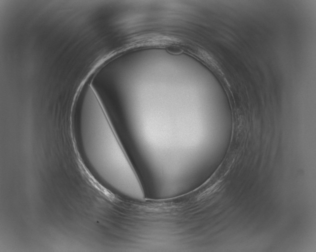 X0000054380843200507290855