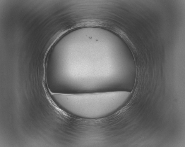 X0000054380844200507290855