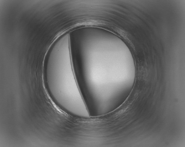 X0000054380845200507290855