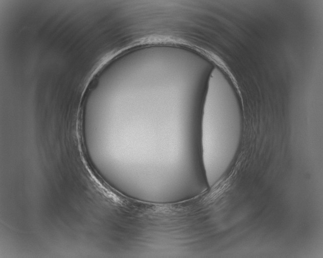 X0000054380847200507290855