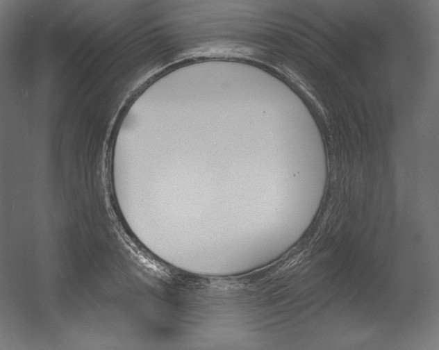 X0000054380848200507290855