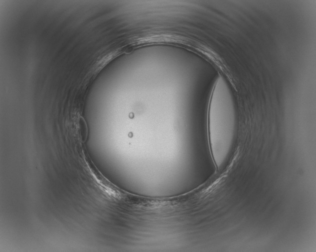X0000054380849200507290855