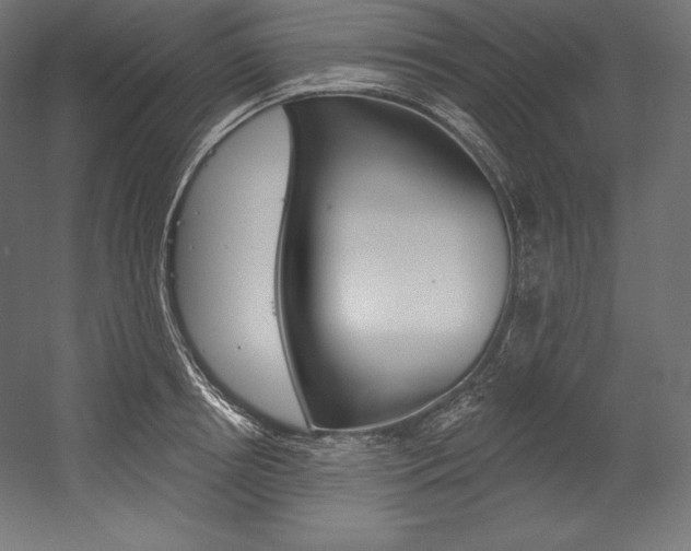 X0000054380850200507290855