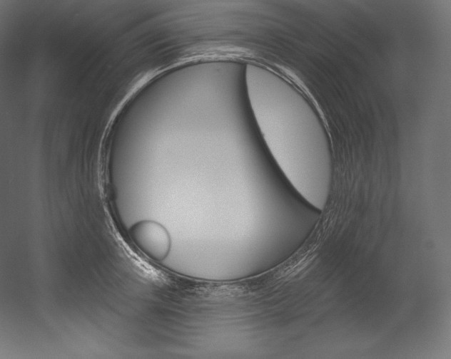X0000054380851200507290855
