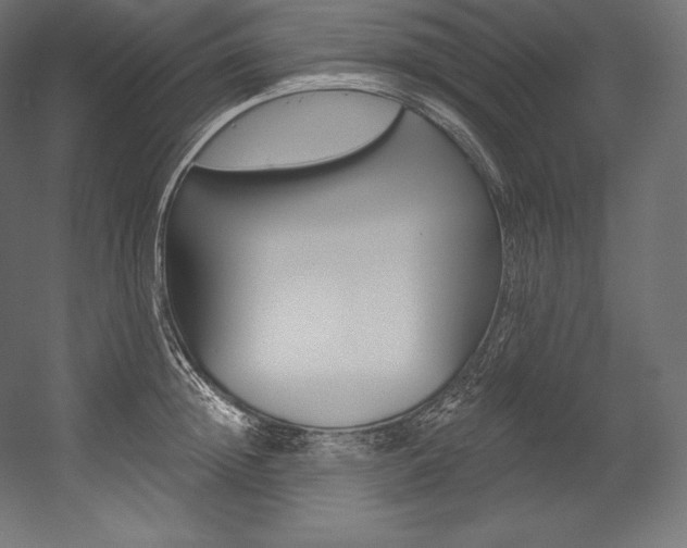 X0000054380852200507290855