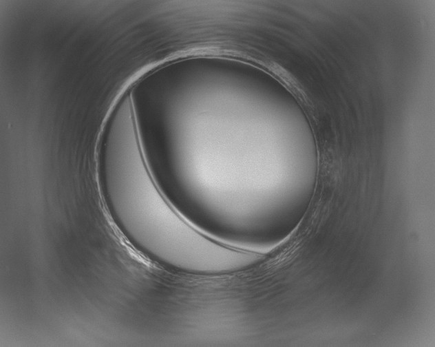 X0000054380854200507290855