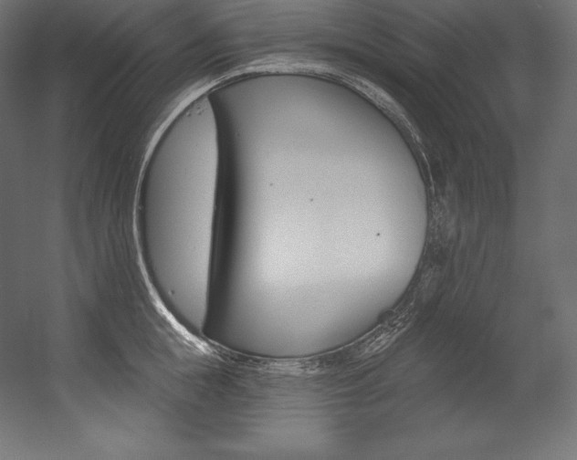 X0000054380855200507290855