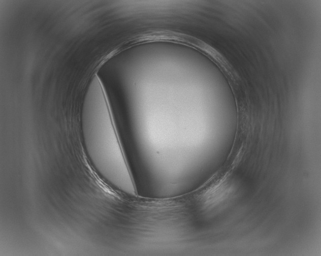 X0000054380857200507290855