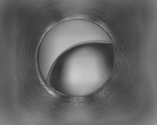 X0000054380858200507290855