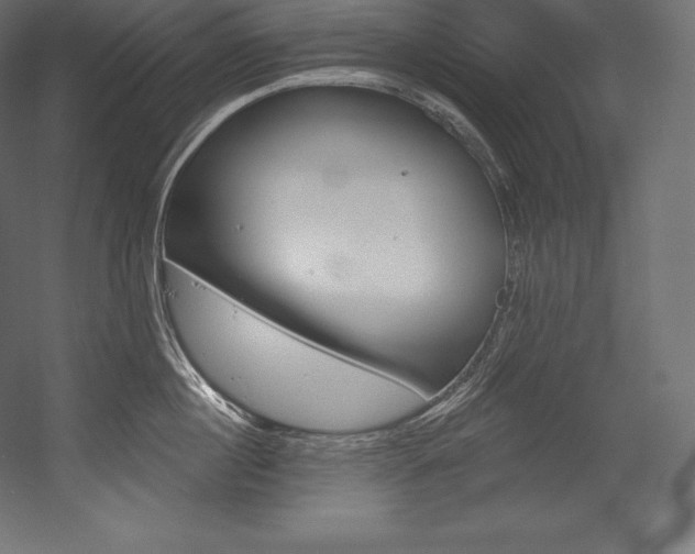 X0000054380860200507290855
