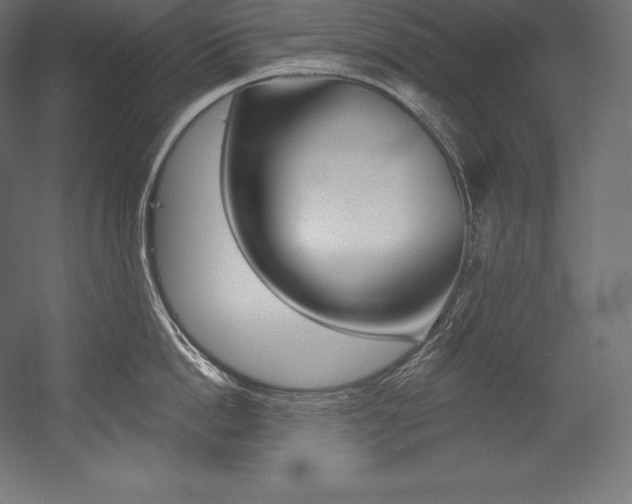X0000054380862200507290855