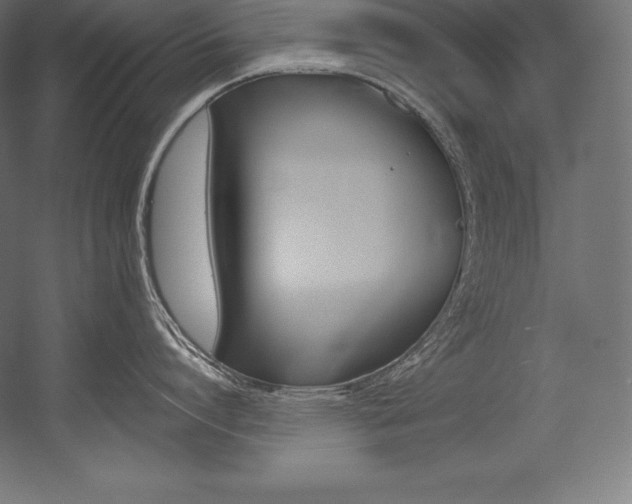 X0000054380864200507290855