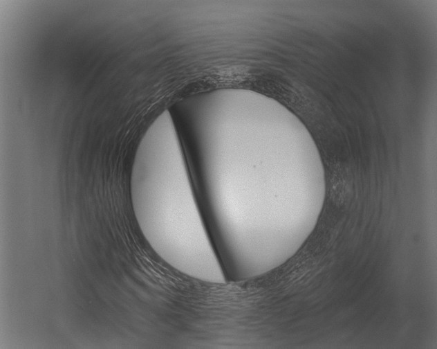 X0000054380866200507290854