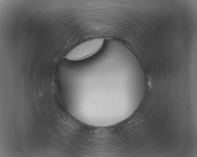 X0000054380867200507290854