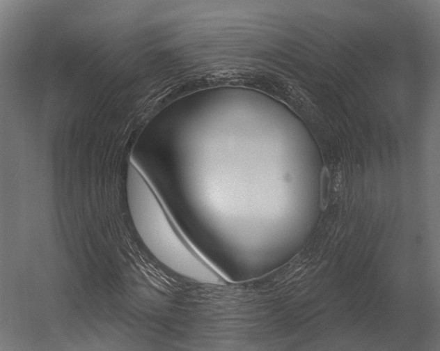 X0000054380868200507290854