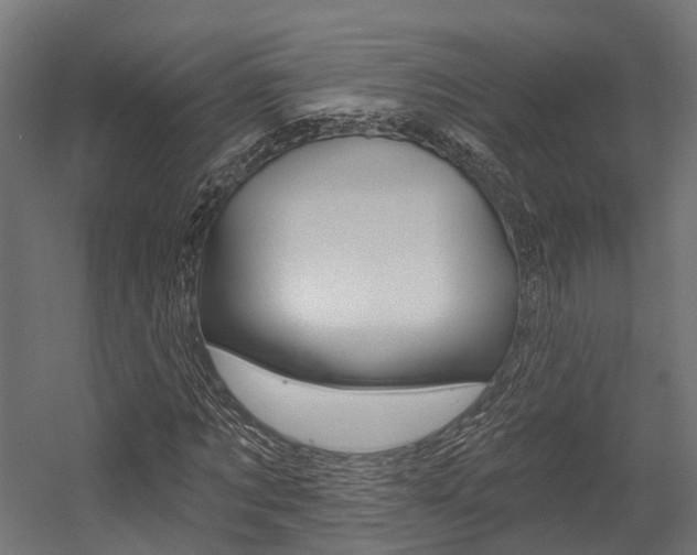 X0000054380869200507290854