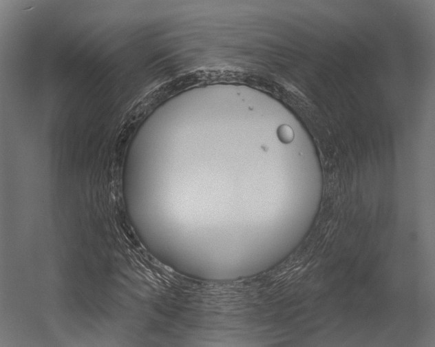 X0000054380870200507290854