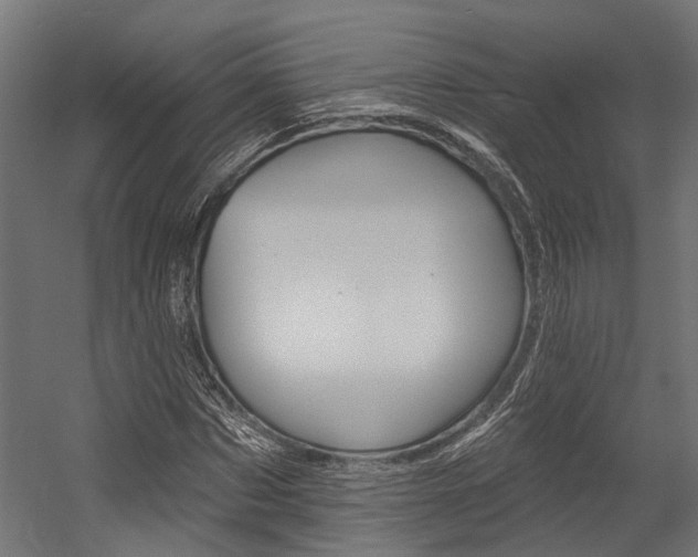 X0000054380873200507290854