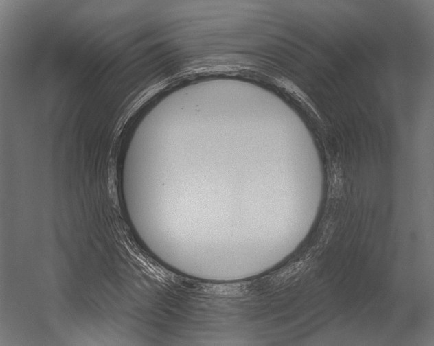 X0000054380874200507290854