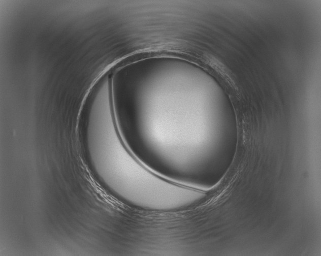 X0000054380876200507290854
